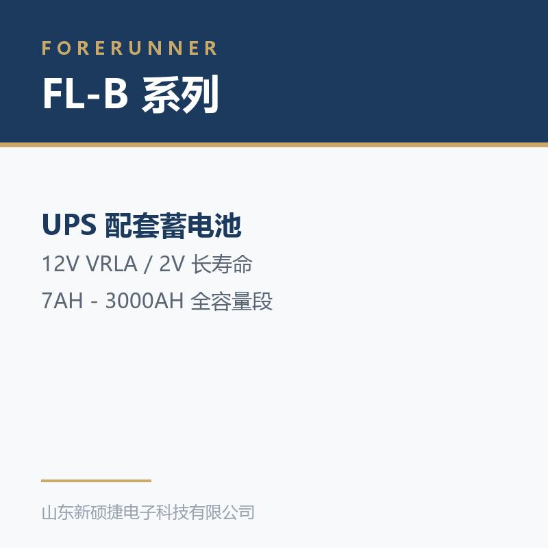 FL-B 系列 12V 阀控式铅酸蓄电池(威海市UPS电源)