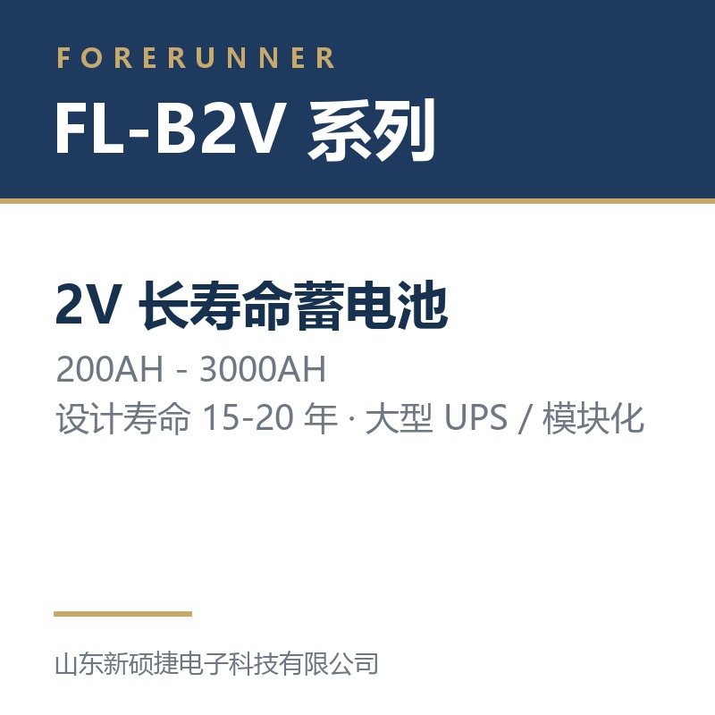 FL-B2V 系列 2V 长寿命蓄电池（威海市UPS电源）
